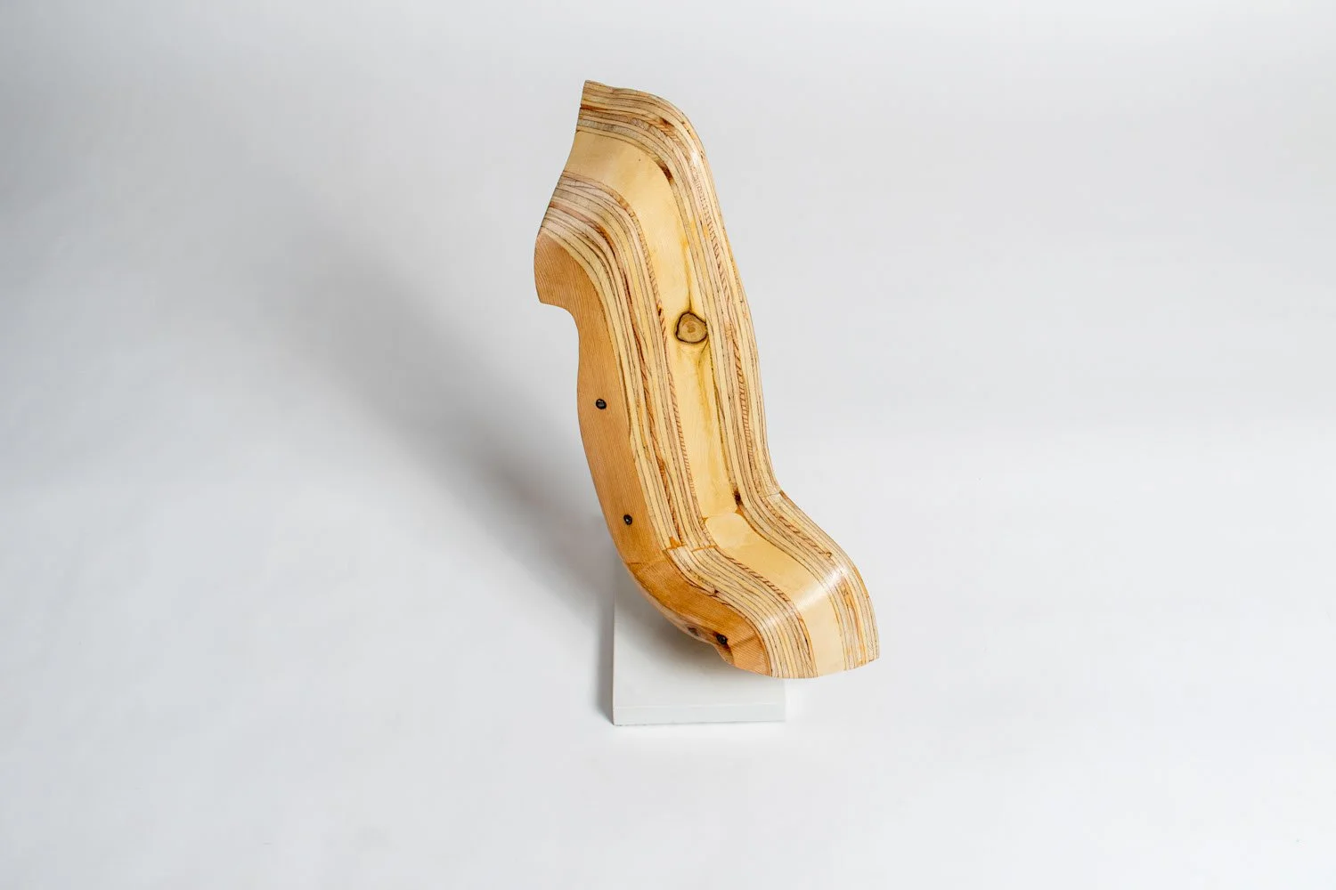 Wayfarer II Aerial Right.jpeg