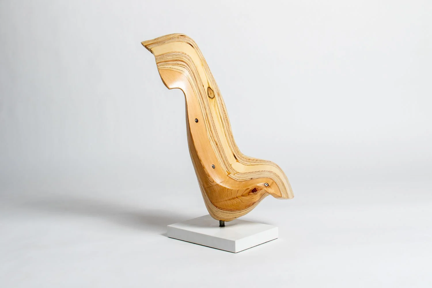 Wayfarer II 3:4 Front Right.jpeg