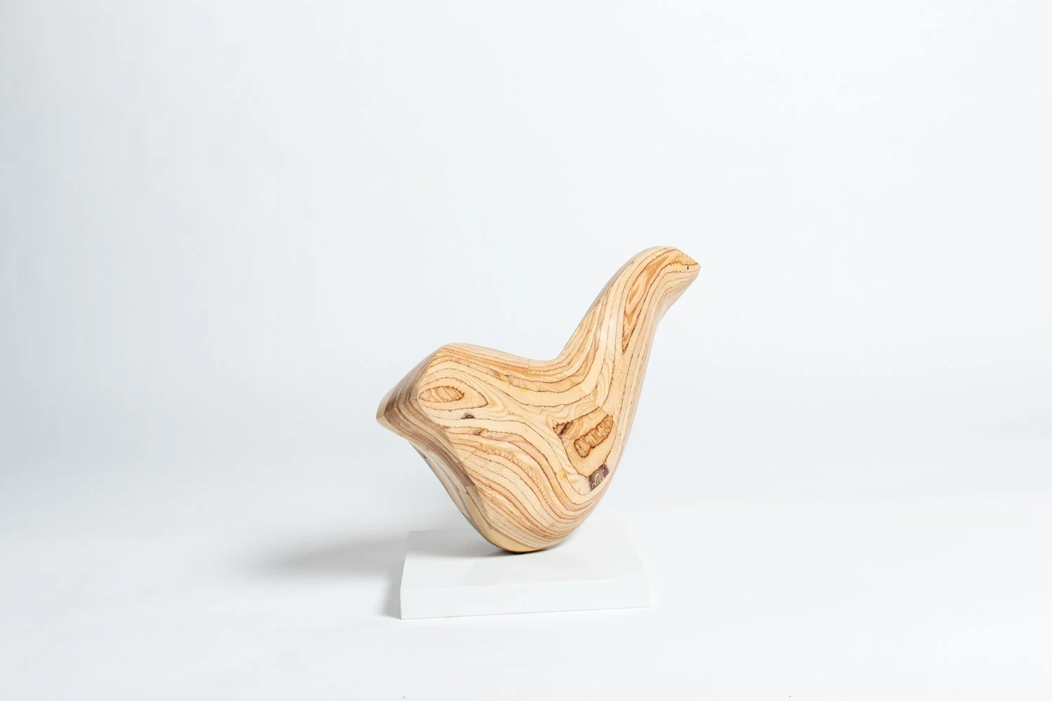 Wayfarer III Back.jpeg