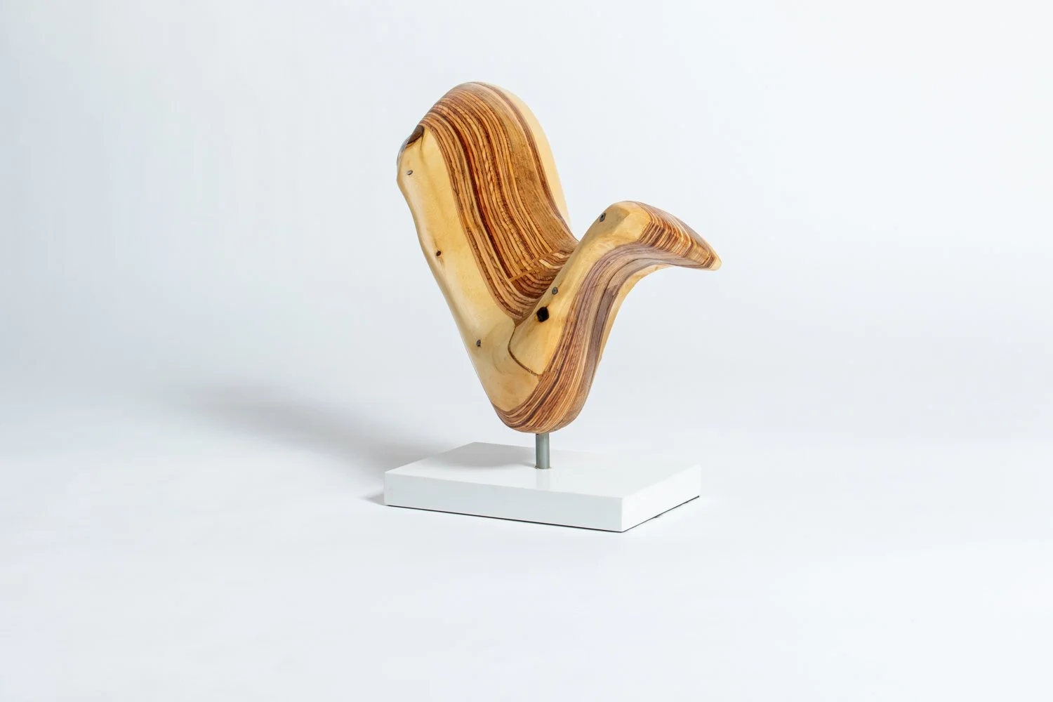 Wayfarer IV 3:4 Front Left.jpeg