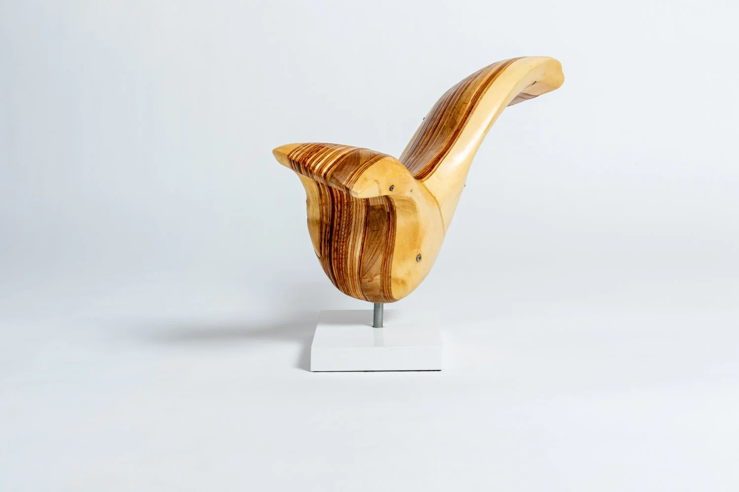 Wayfarer IV Left.jpeg