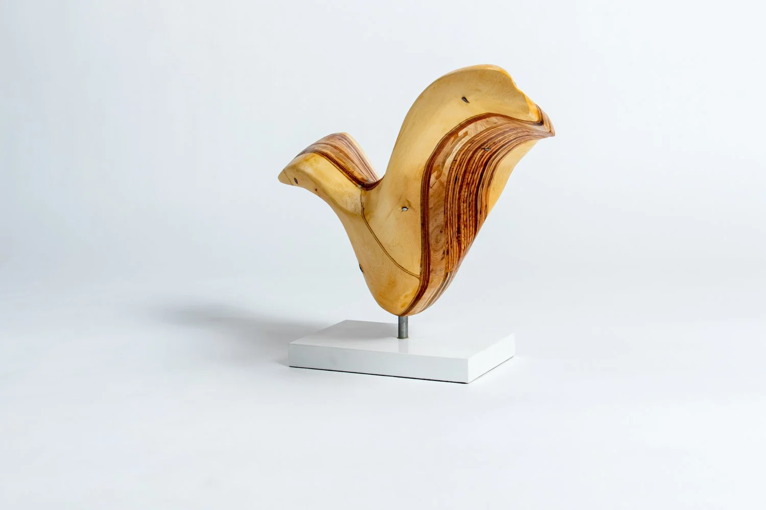 Wayfarer IV 3:4 Back Right.jpeg