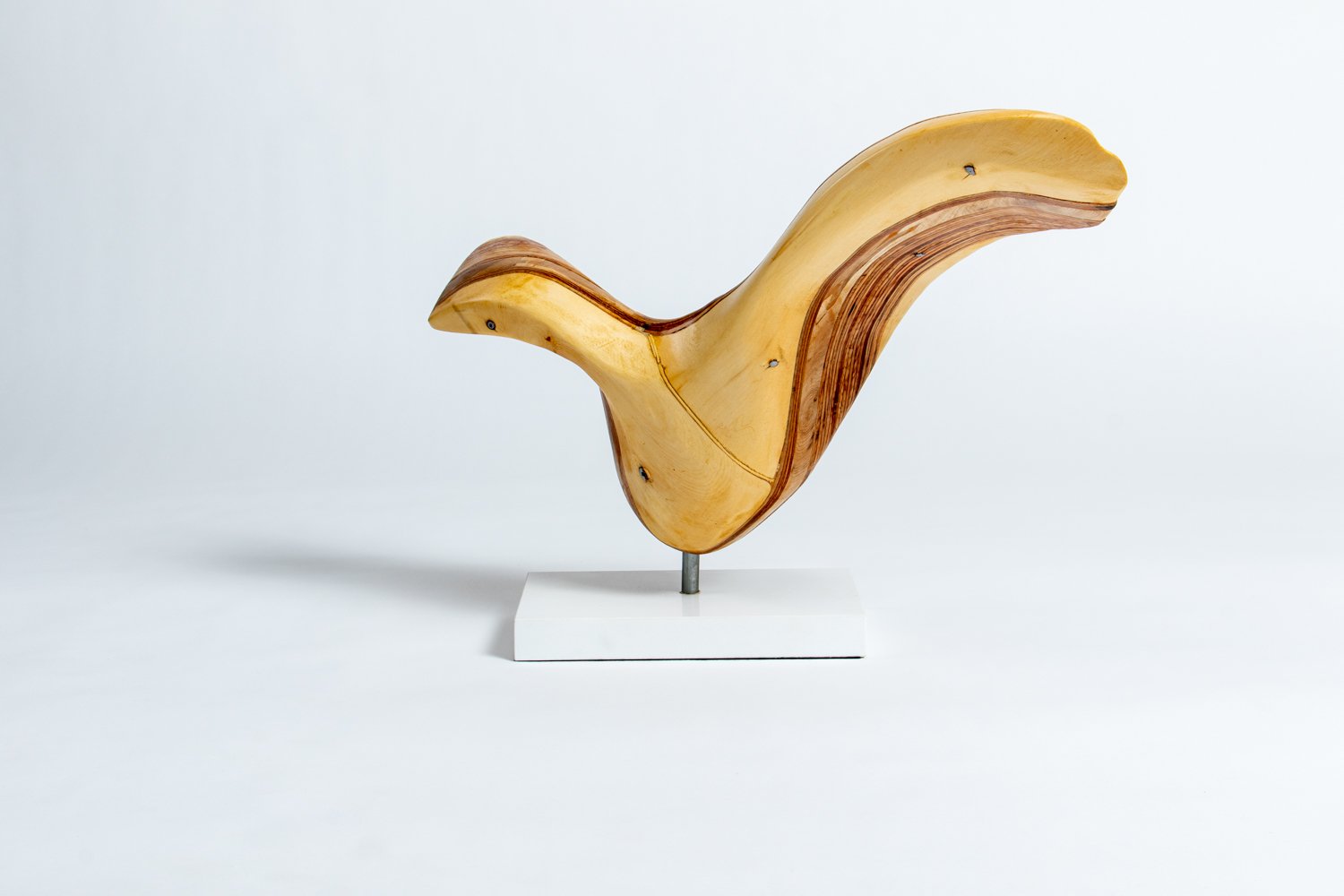 Wayfarer IV Back.jpeg