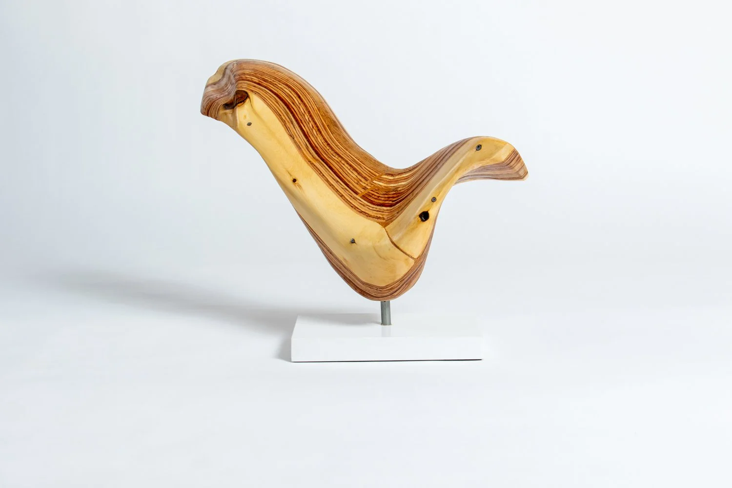 Wayfarer IV Front.jpeg