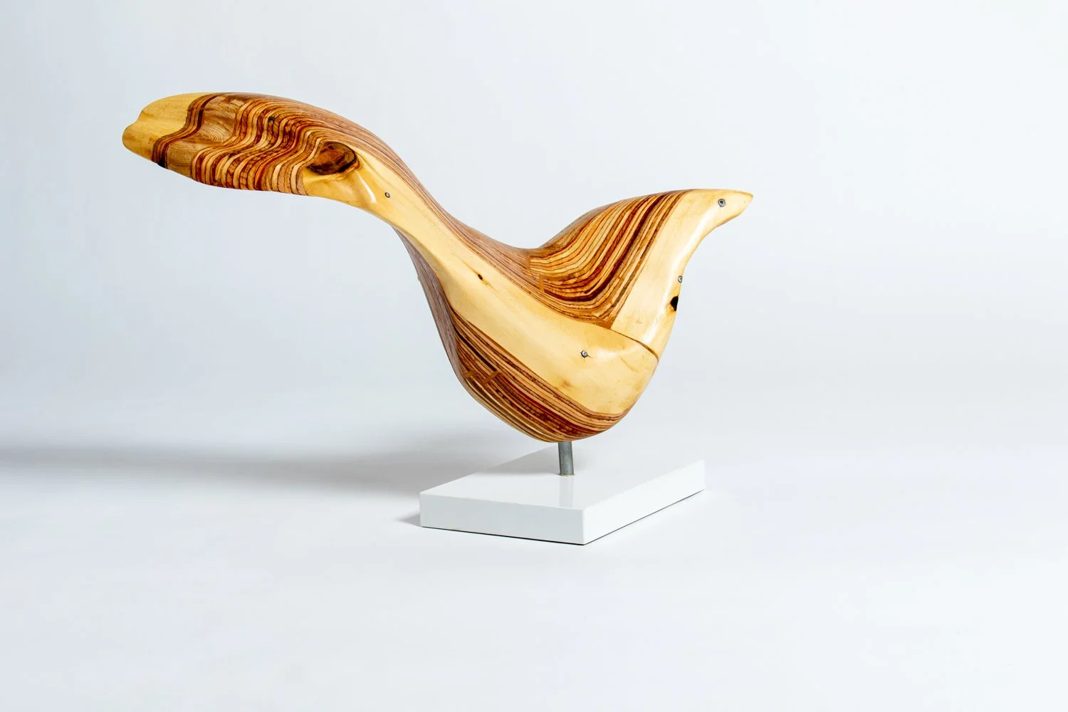 Wayfarer IV 3:4 Front Right.jpeg