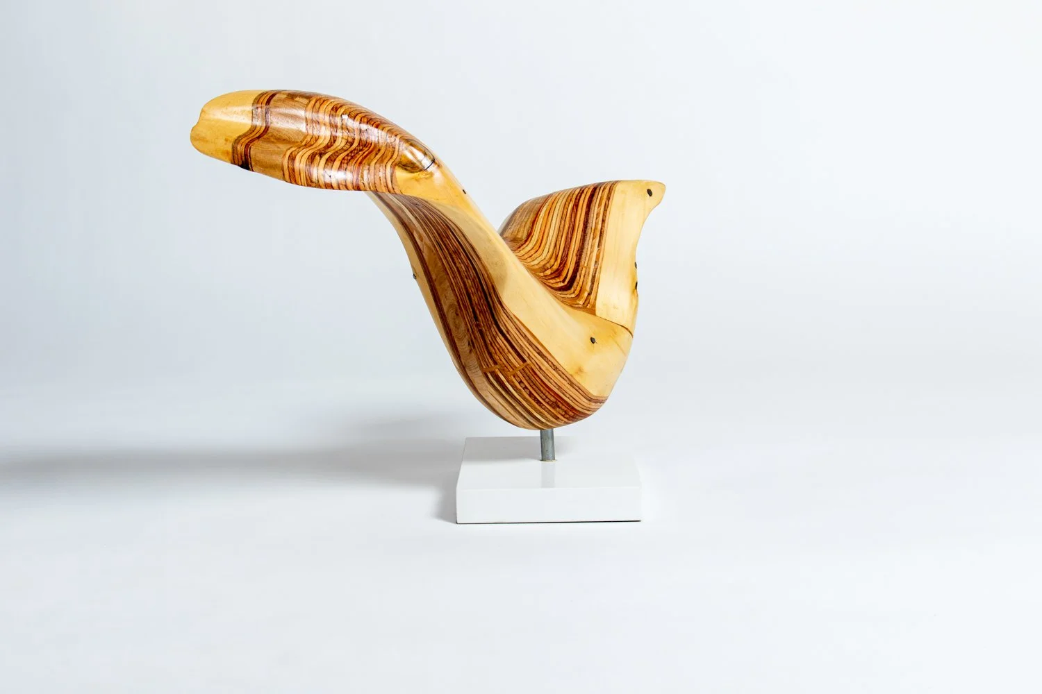 Wayfarer IV Right.jpeg