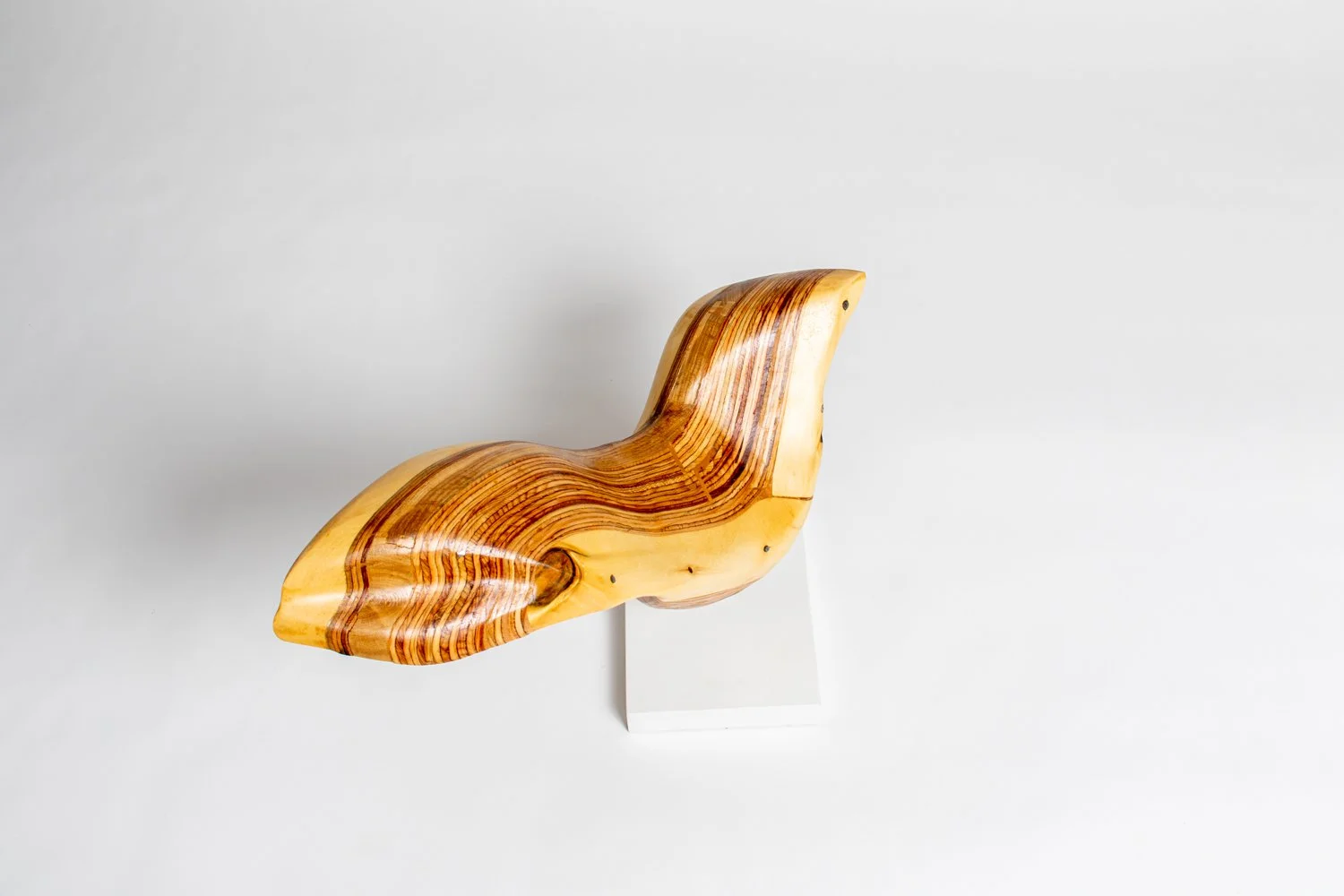 Wayfarer IV Aerial Back.jpeg