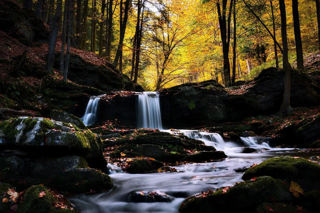 stream-7957258_1280.jpg