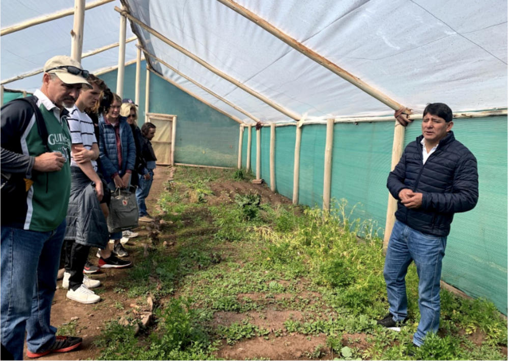  School children learn permaculture to grow their own food and medicinal products.  