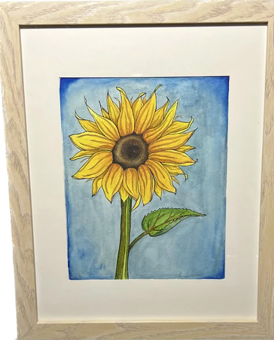Sunflower