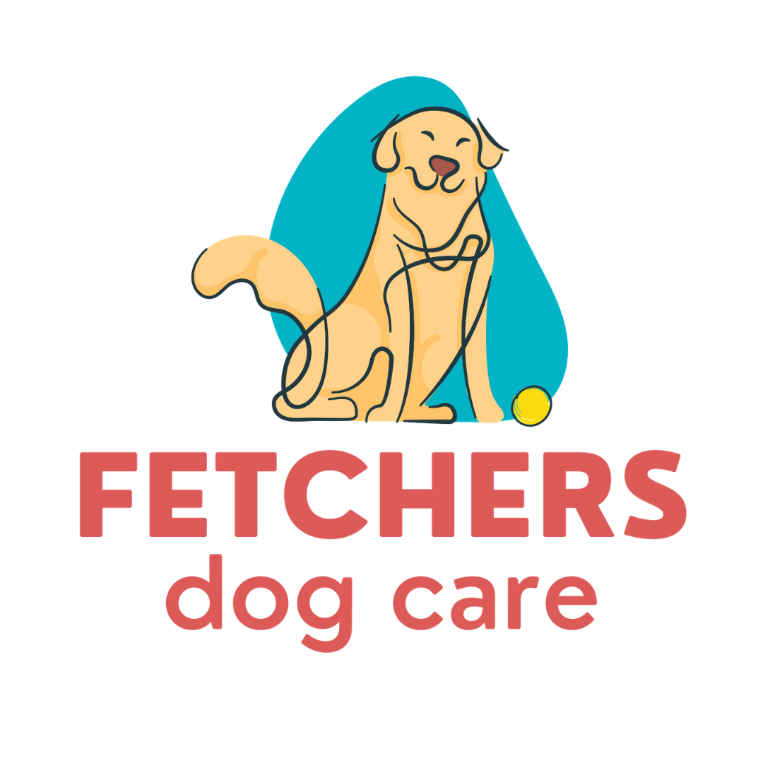 Fetchers-Dog-Care-Denver-Buoy-client.png