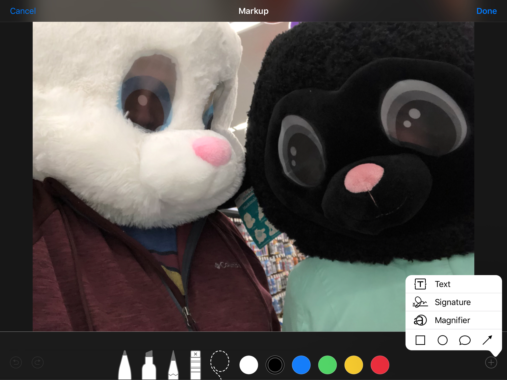 A full range of image editing tools will appear as a part of the "Markup" tool set.