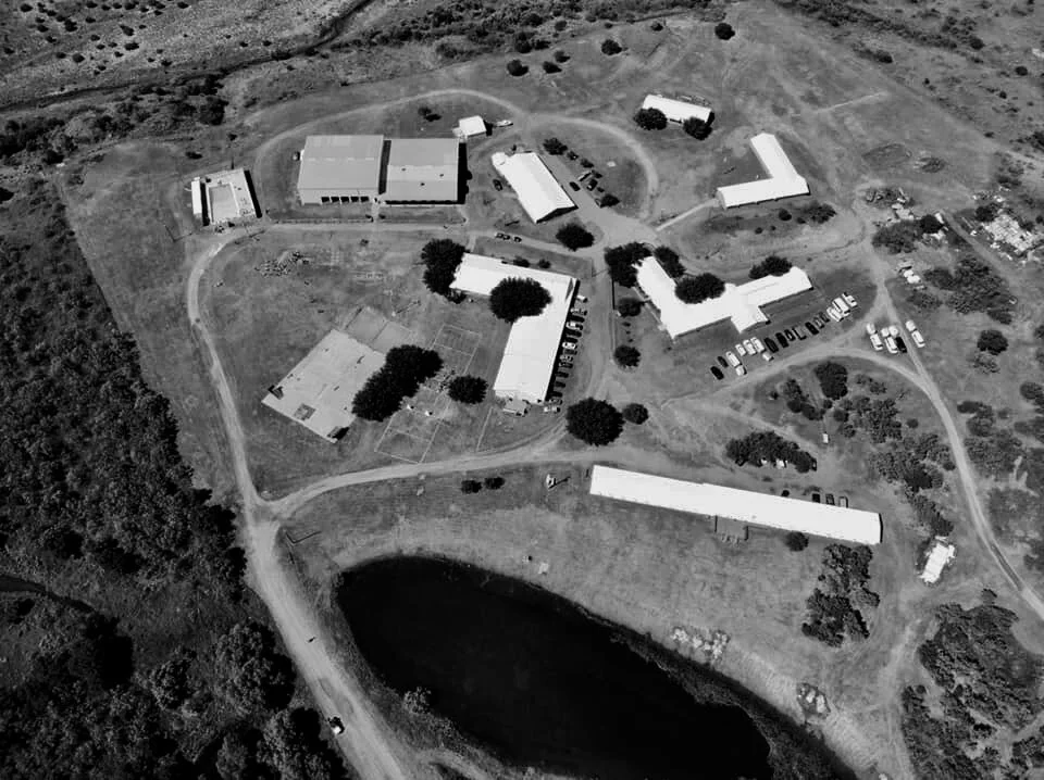 Roaring Springs — WTXNEXT