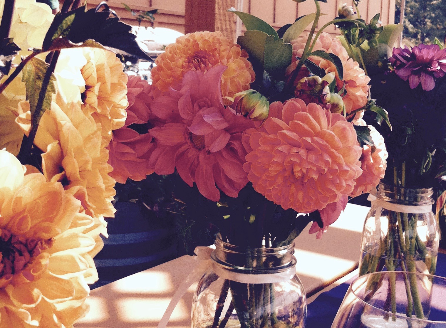 Fall Peonies