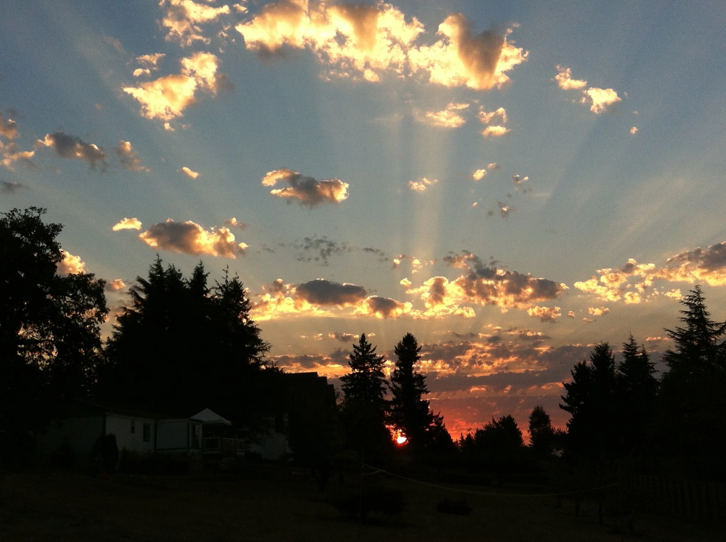 Emmanuel - God is with us