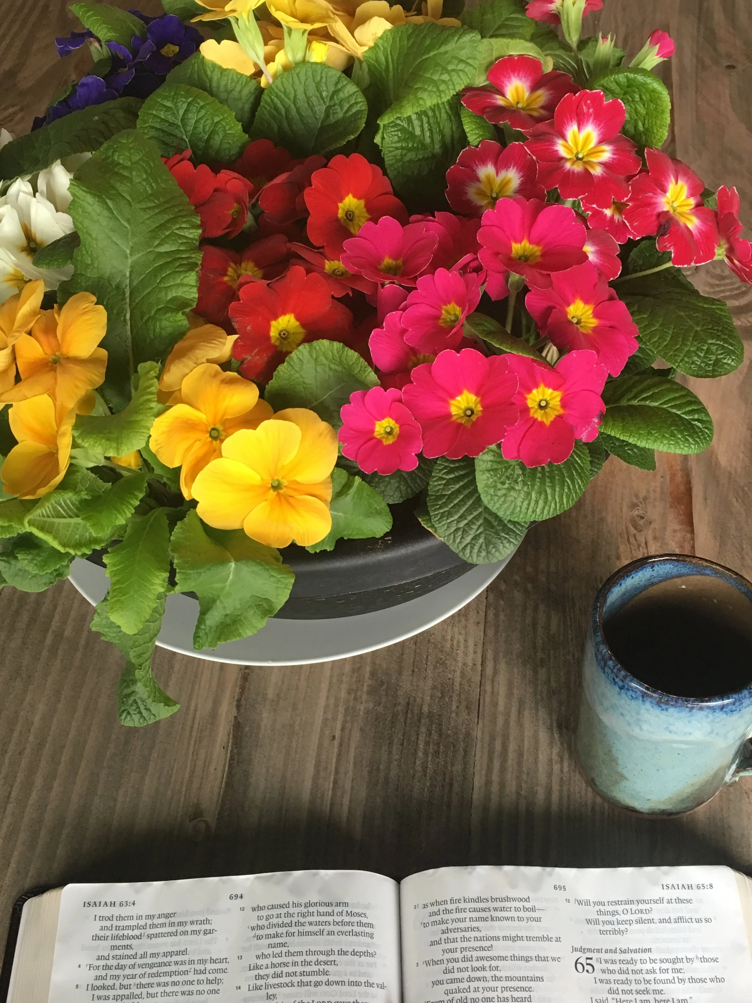 Lent begins.Jesus invites.