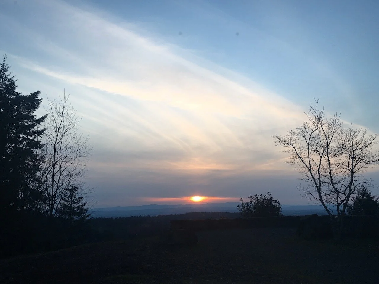 IMG_5668.jpeg