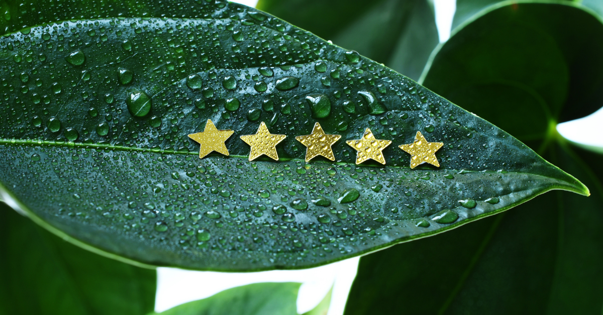 Member Call Recap: Glassdoor &amp; Creating a strategy that works