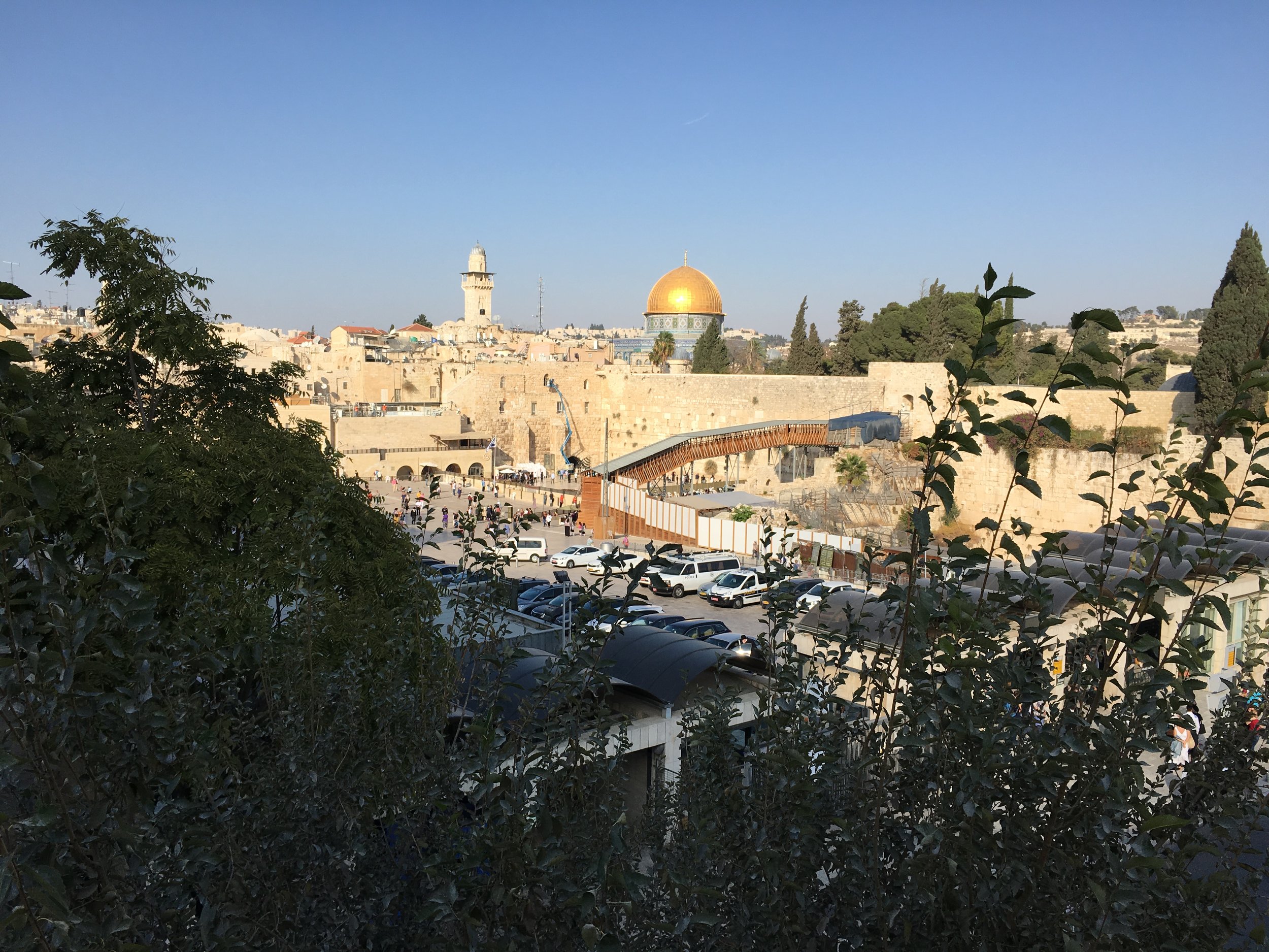 IMG_3300.JPG