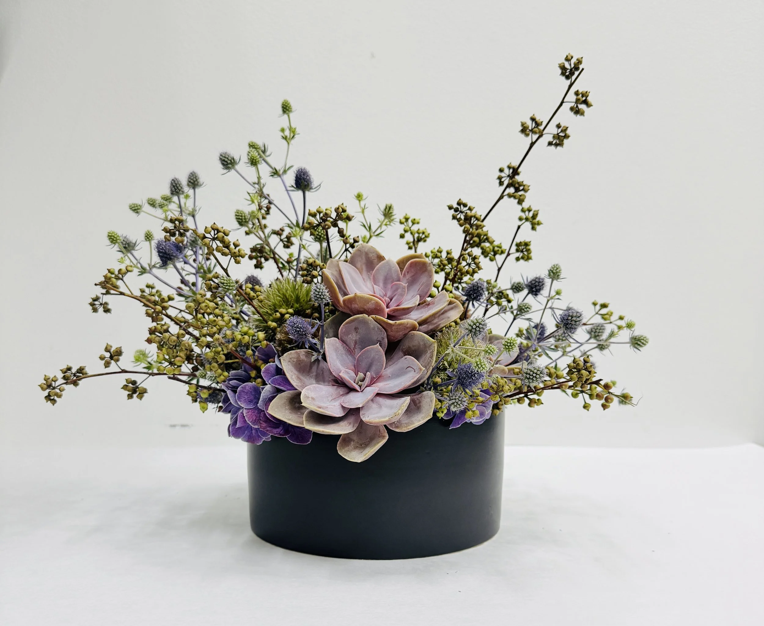 Succulent Garden 