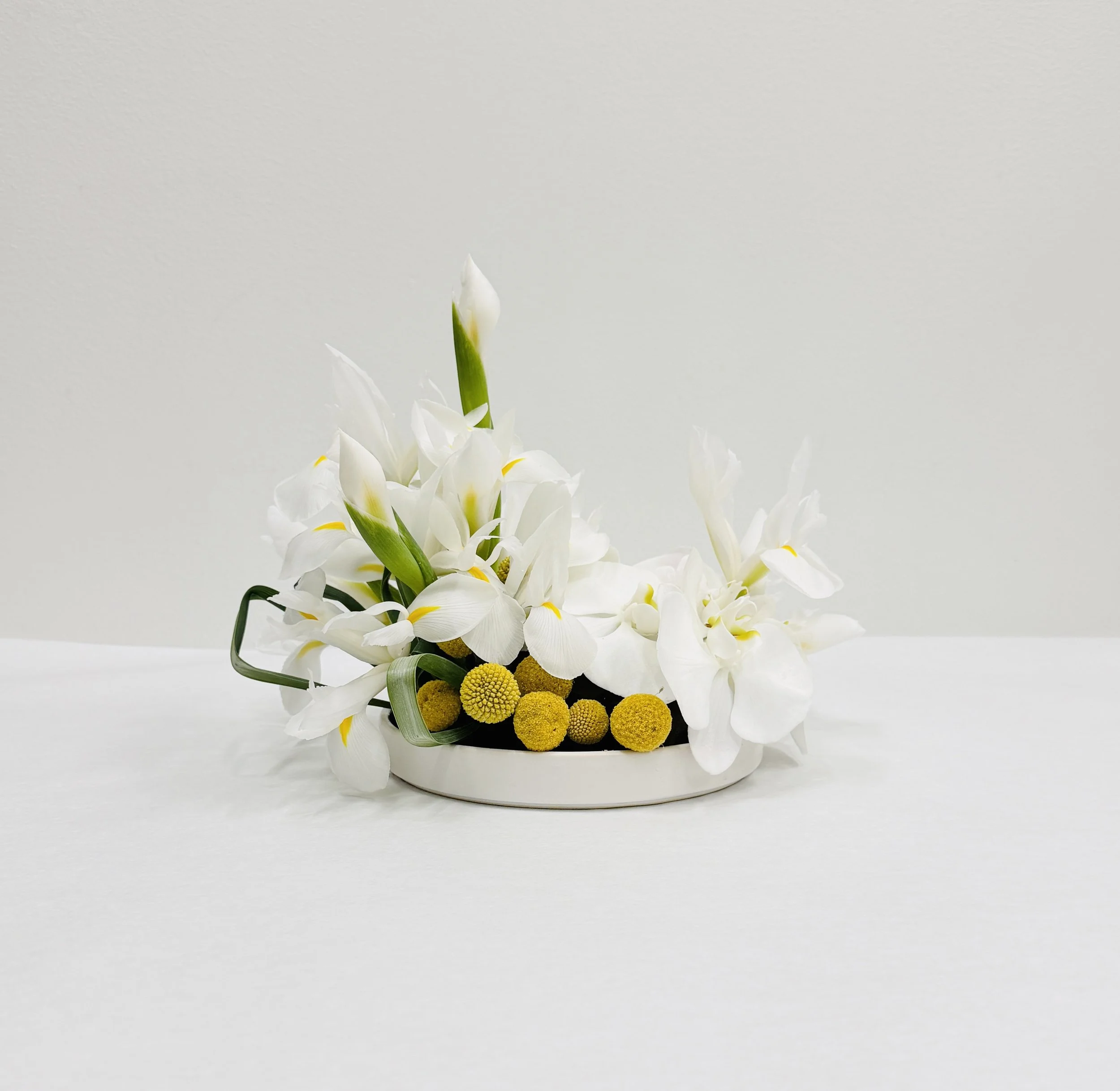 White & Yellow Modern Design