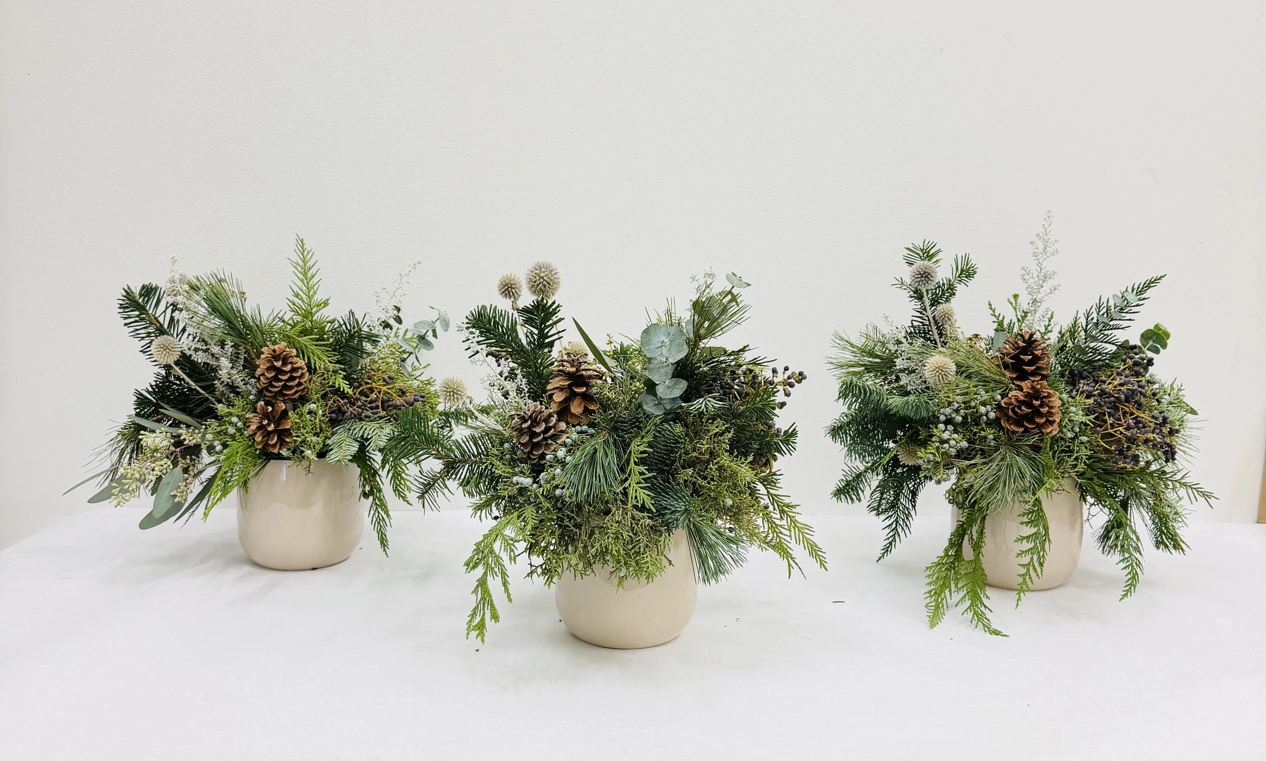 Winter Woodland Collection