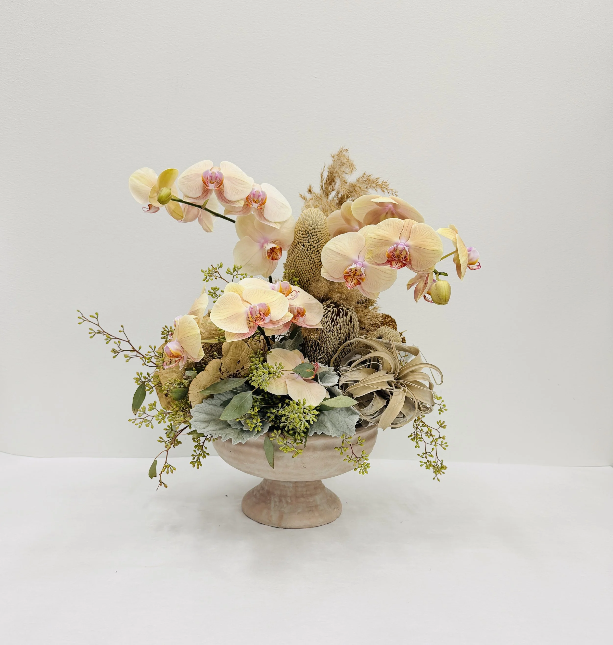 Desert Orchid Garden