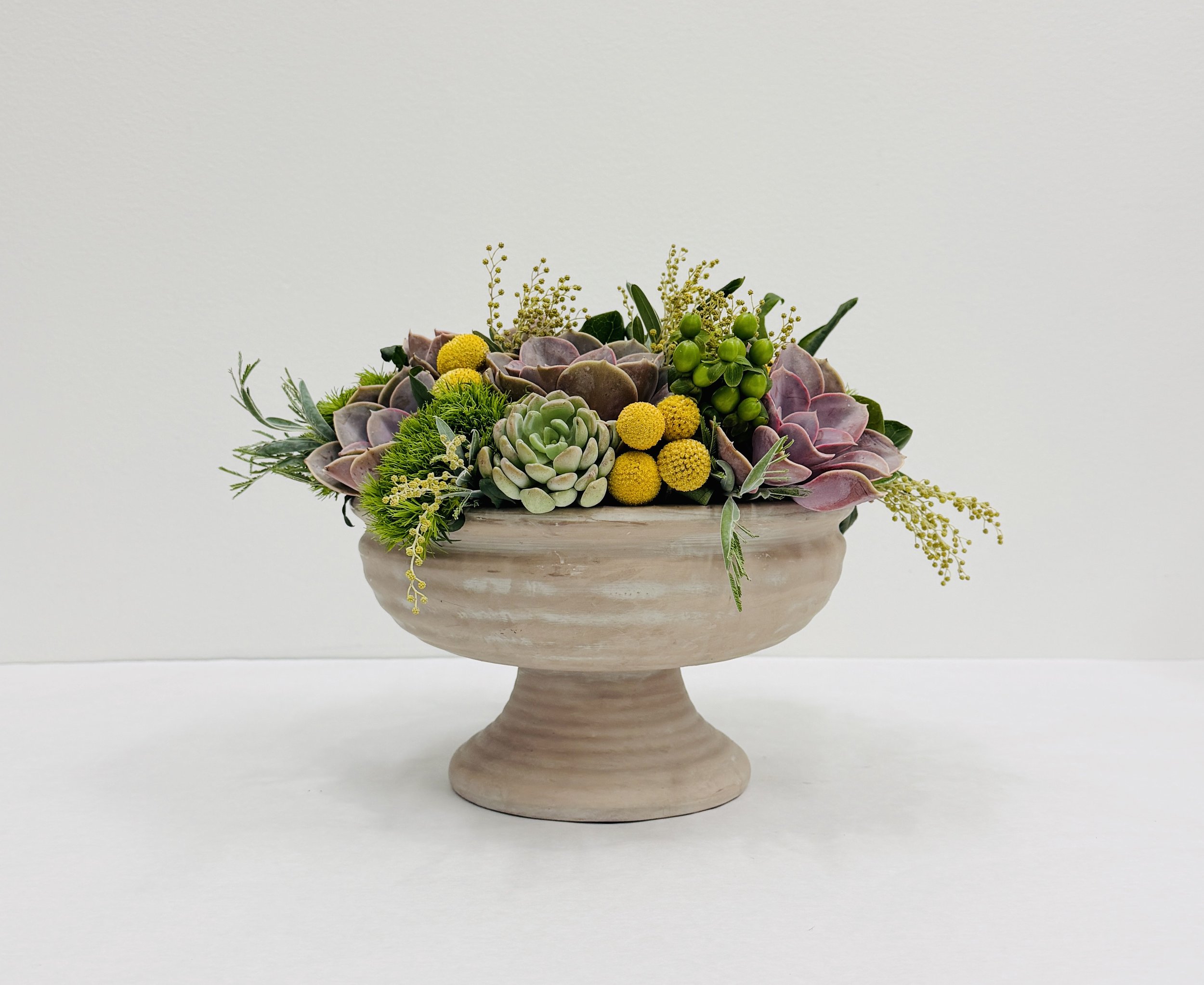 Succulent Arrangement