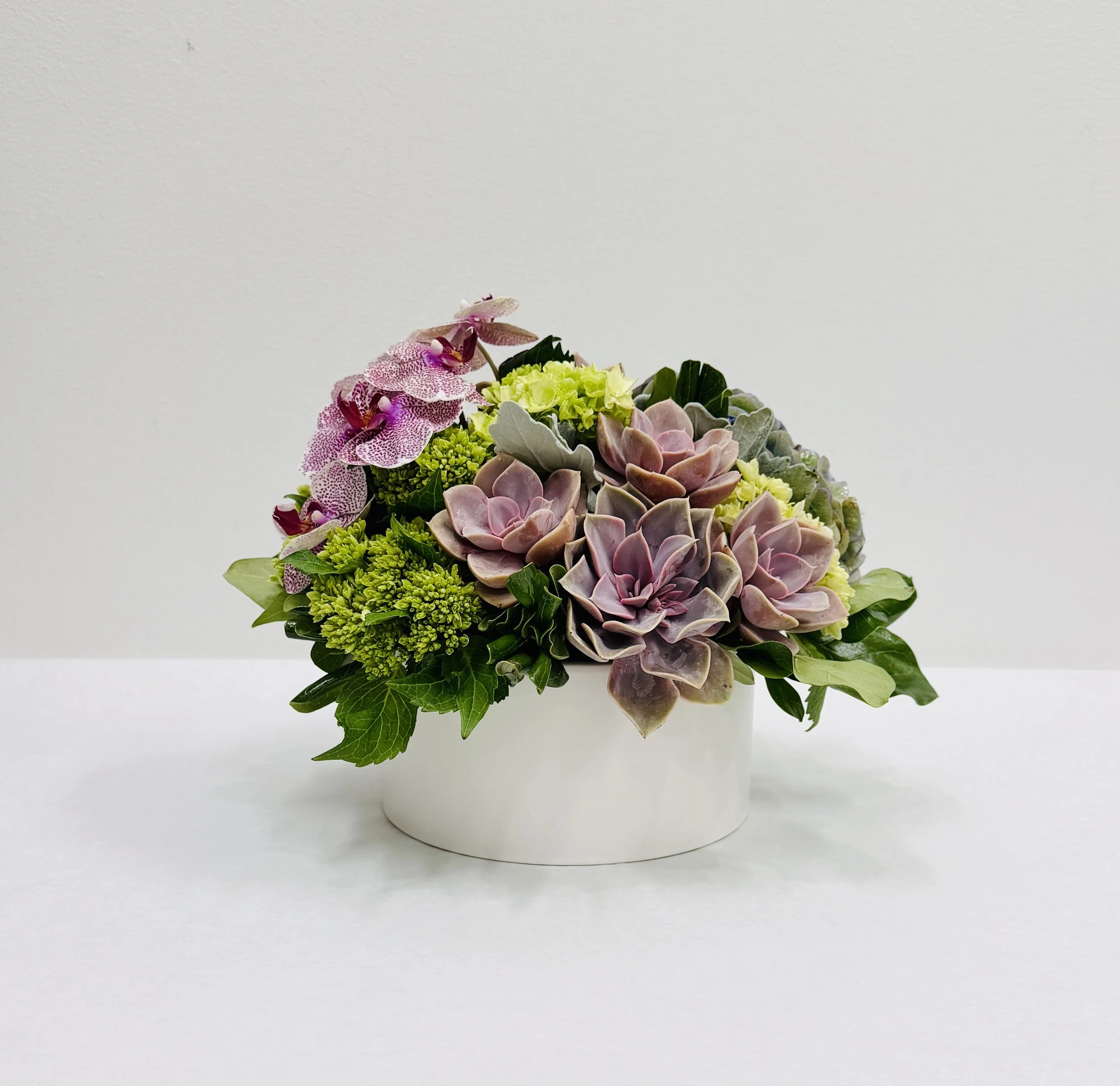 Compact Floral 