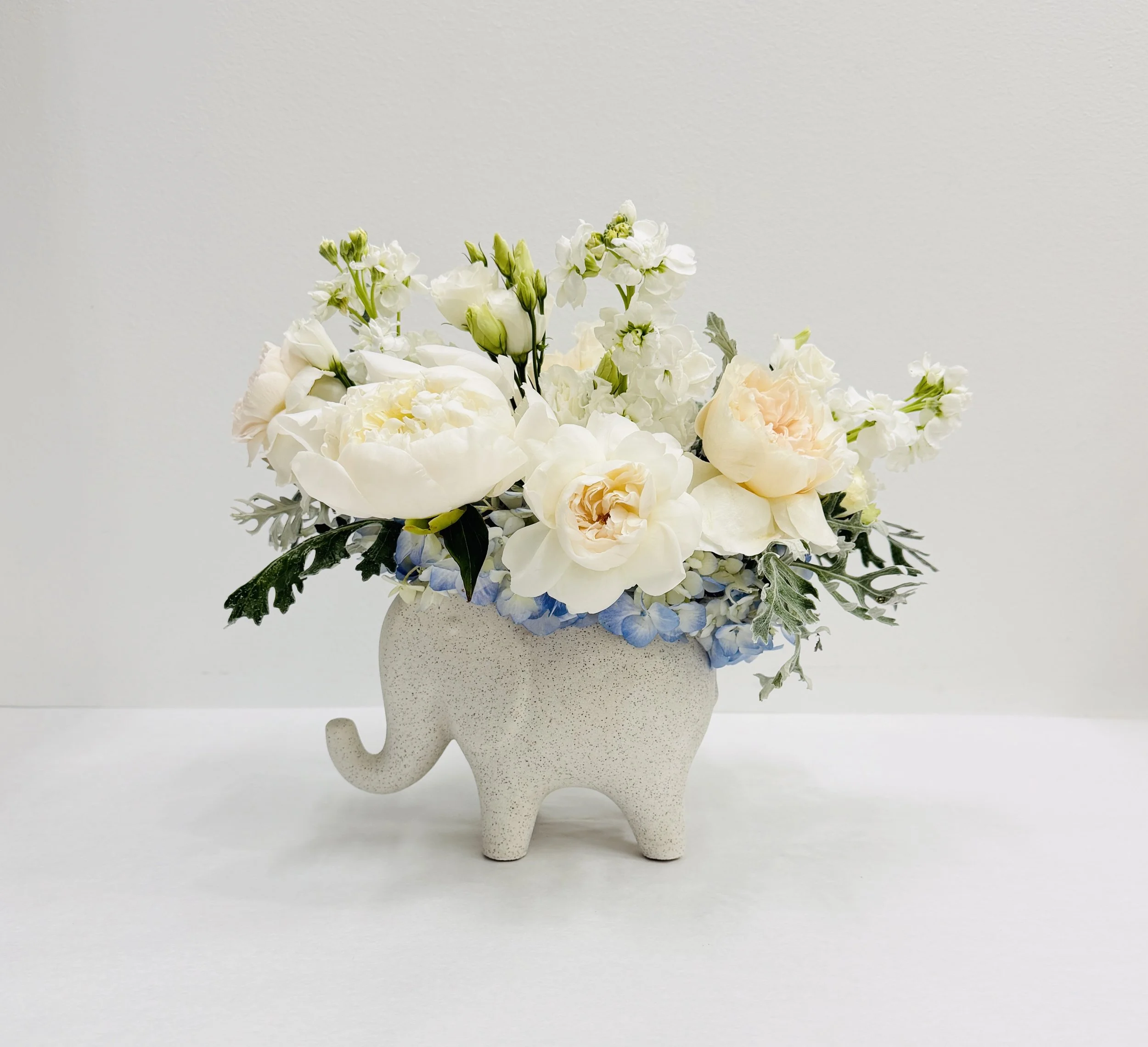 Modern  Flowers