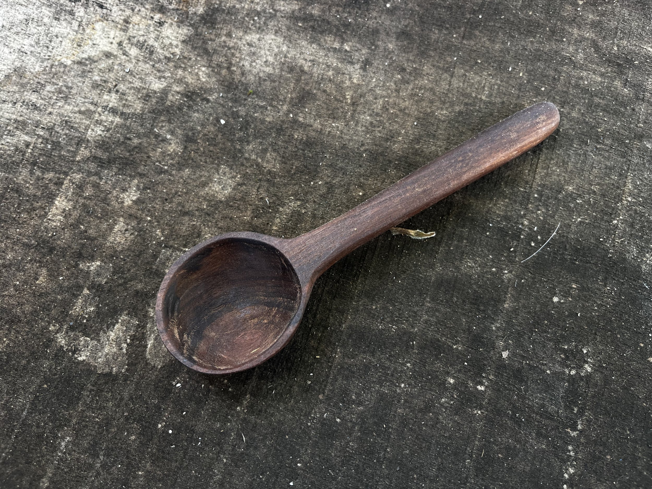 Walnut Coffee Scoop