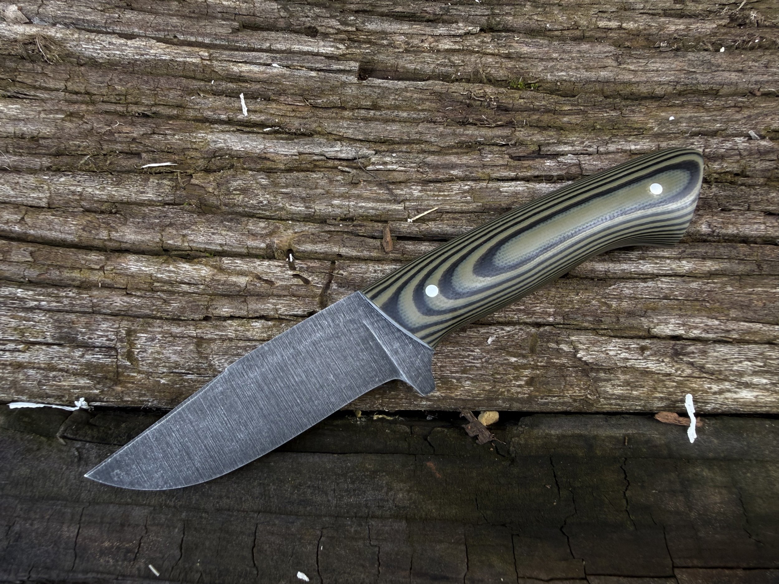 IMG_6377.jpeg