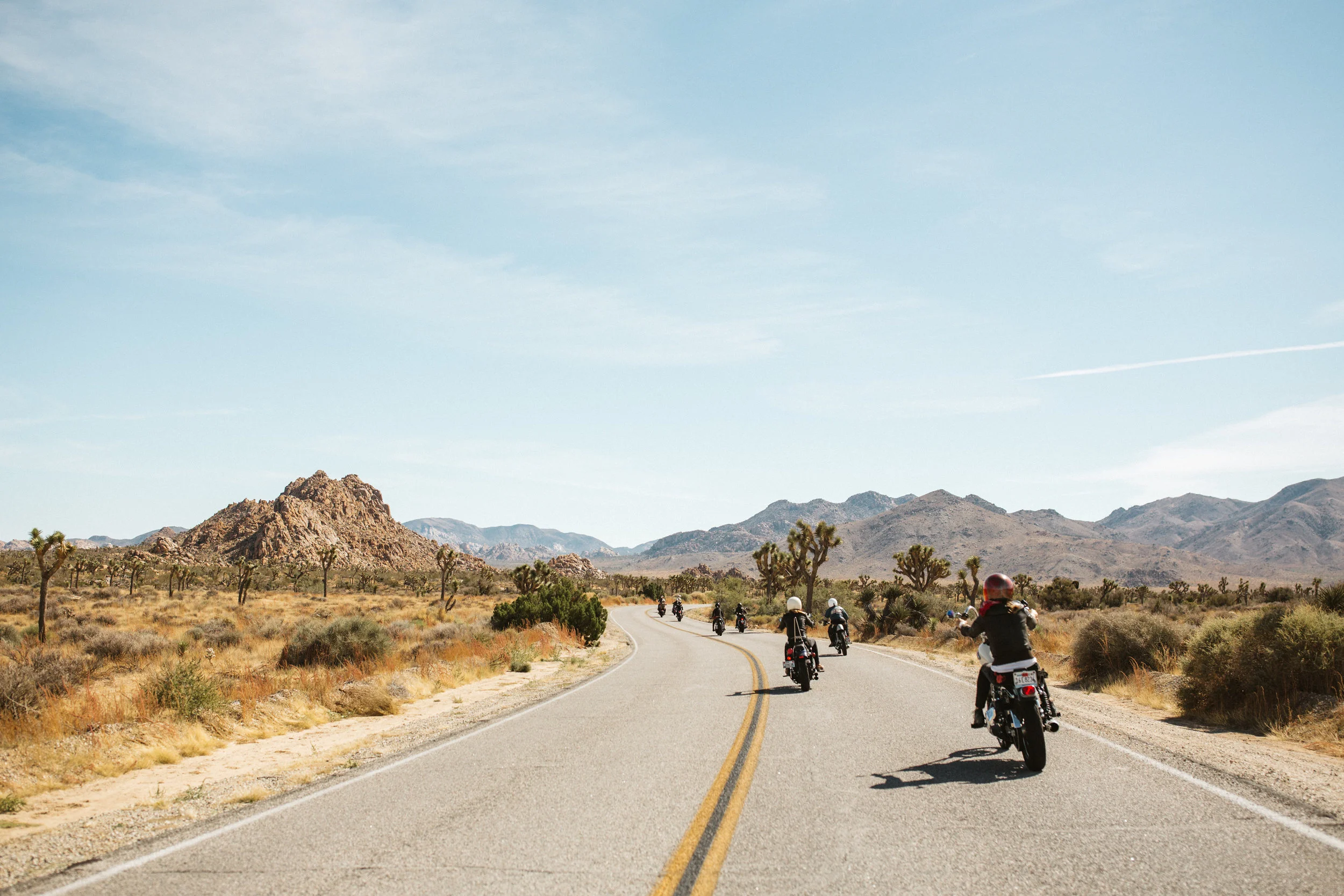 Photo of 2015 Babes Ride Out Joshua Tree, CA Courtesy of Jenny Linquist http://jennylinquist.tumblr.com/