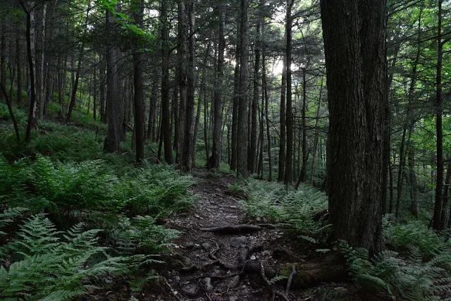 BIG INDIAN WILDERNESS 