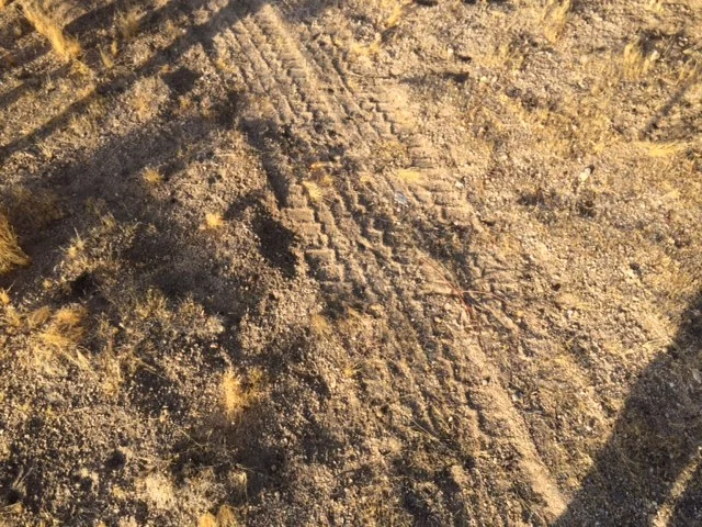 Going off road can create irreversible damage to the ecosystem. 