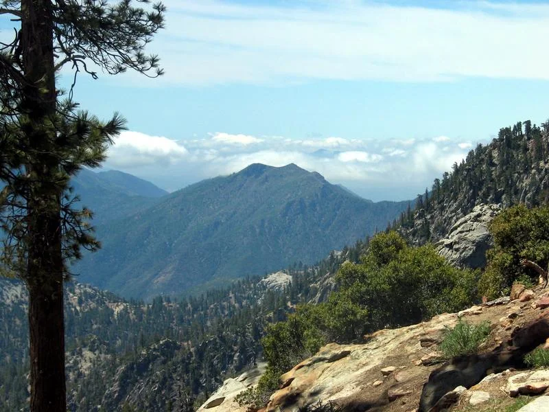 Climbing over 5,000 ft you'll experience cool temperatures and the smell of pines. 