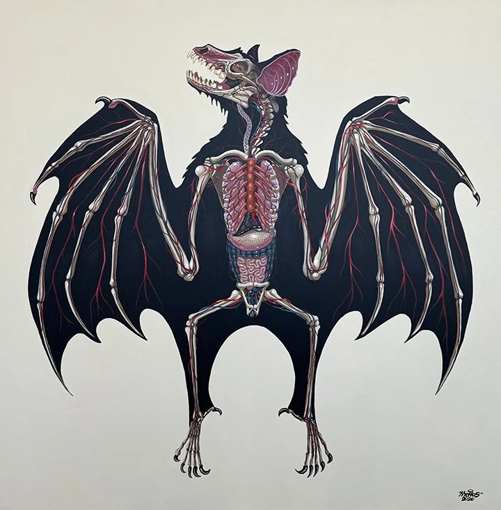 "The Anatomy of Pteropus" - $16,500