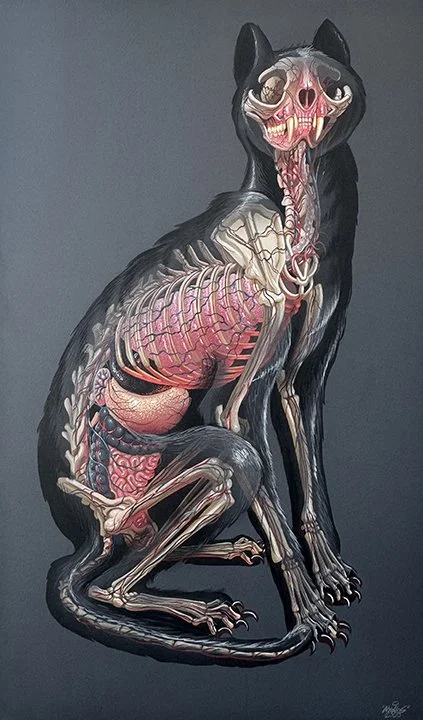 "Translucent Feline" - $16,500