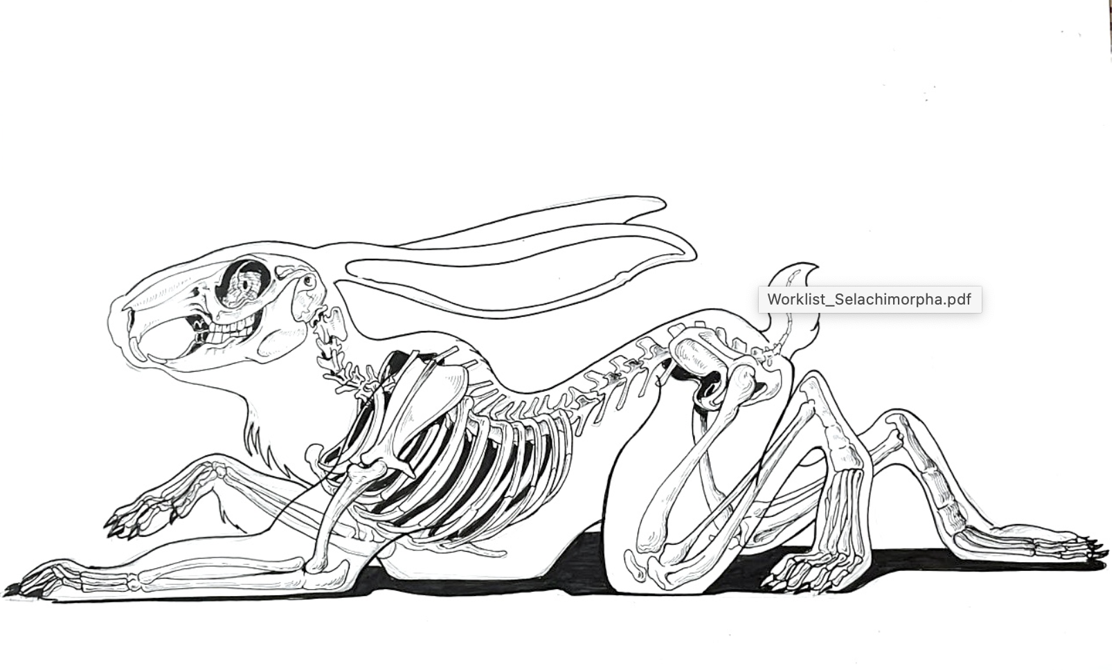 "Crawling Hare" - $2,500