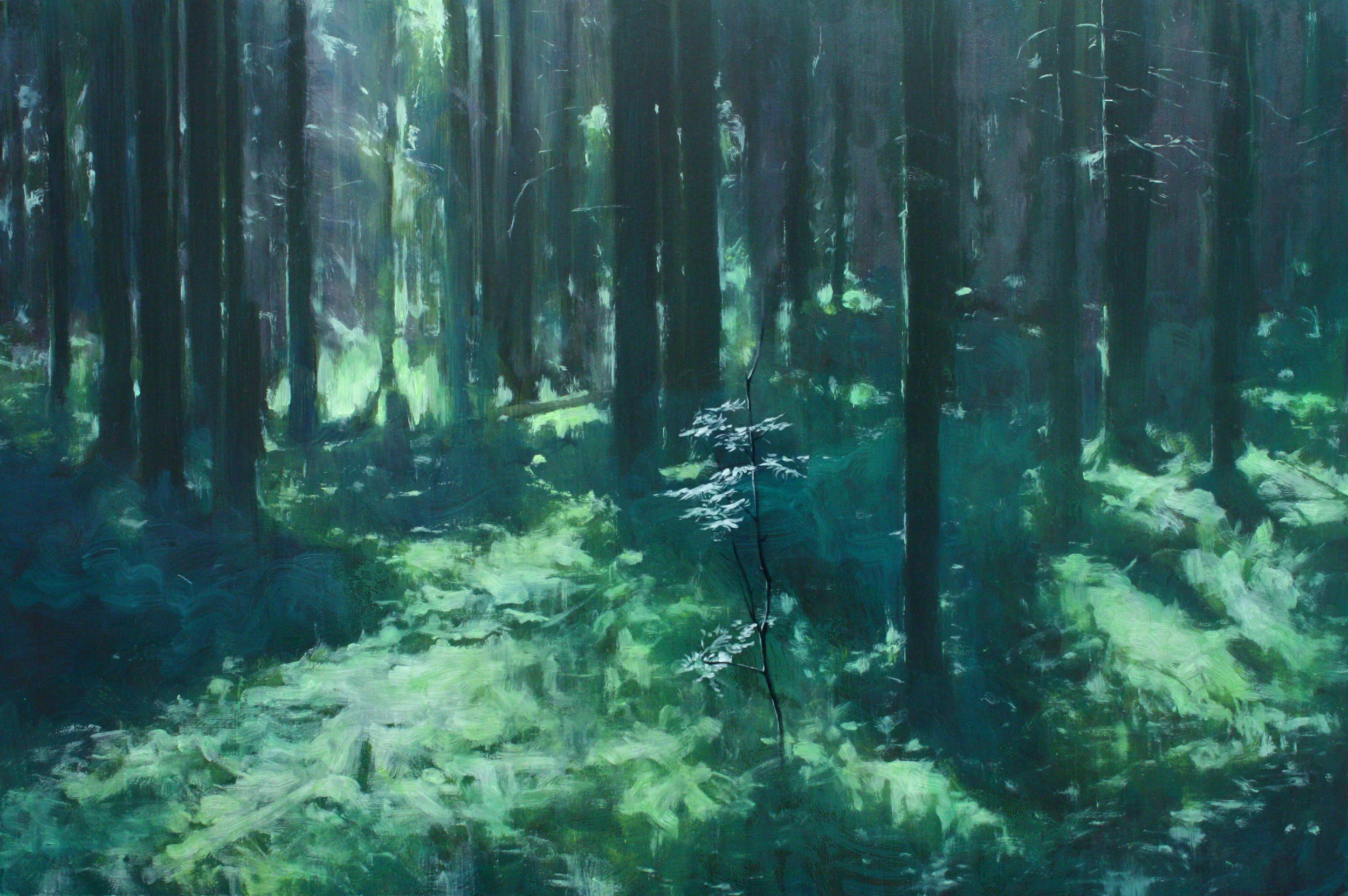 forest.jpg