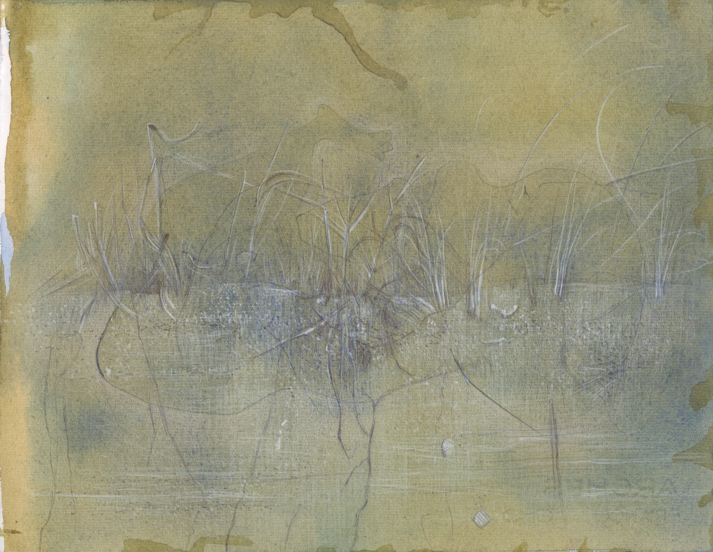sketch 37.jpg
