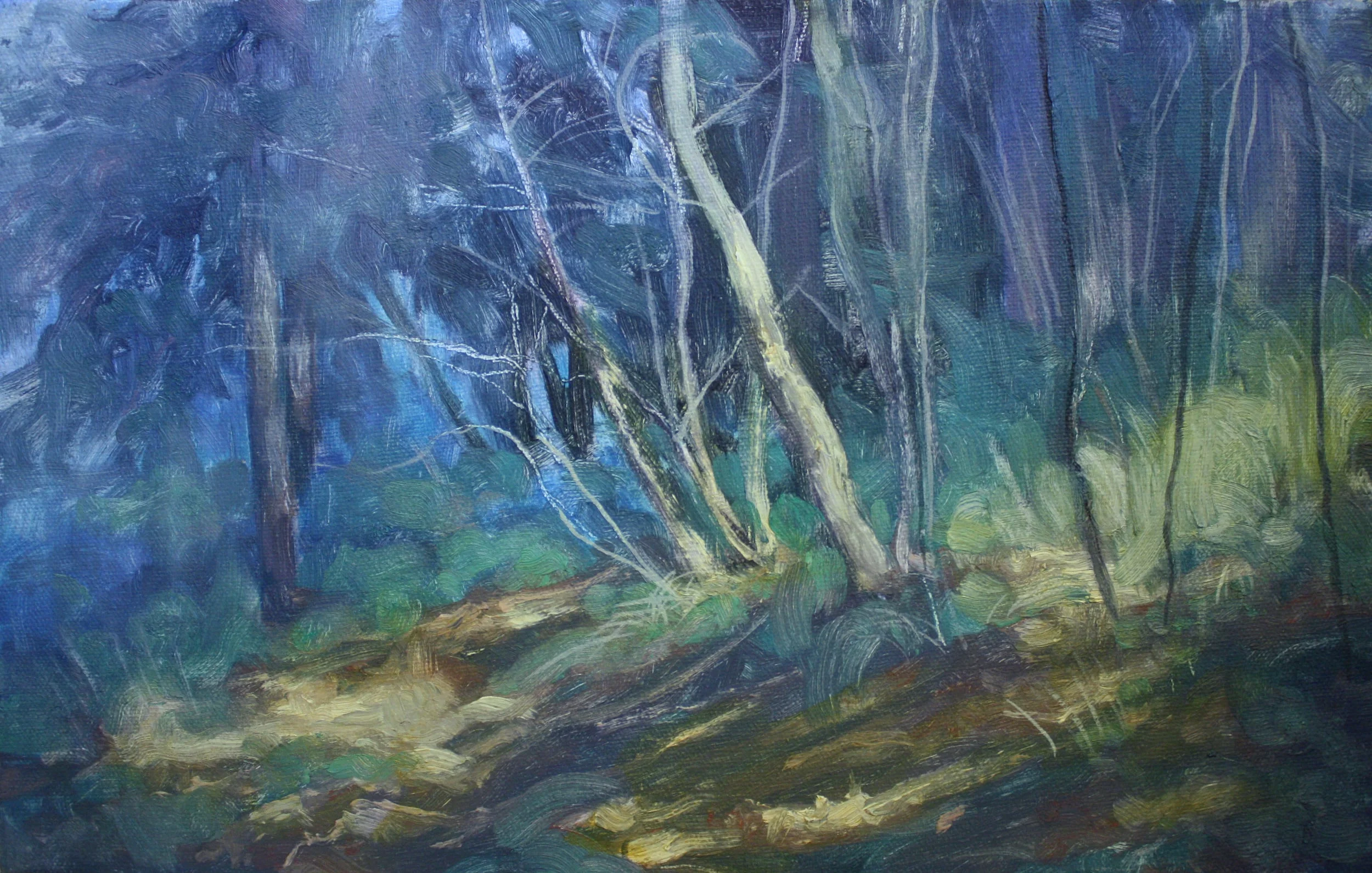 Repino landscape 1.JPG