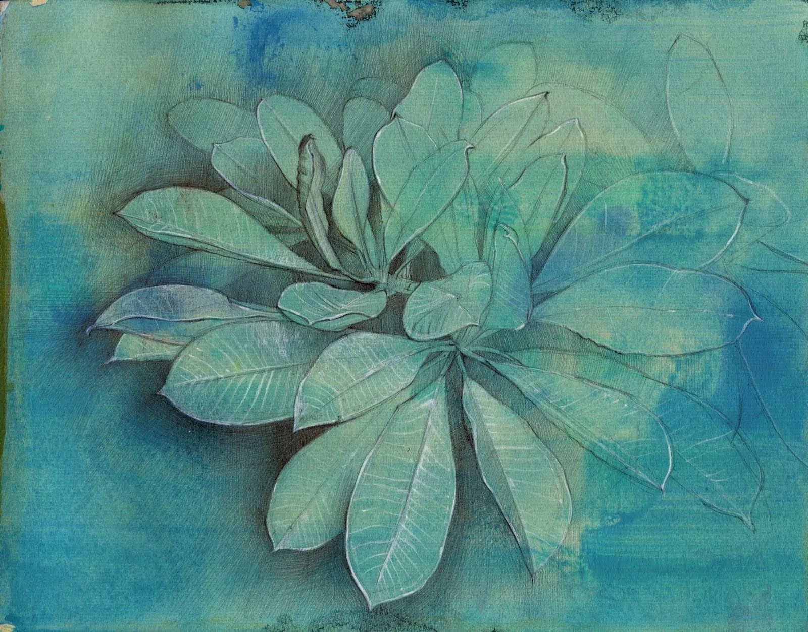 sketch 38.jpg