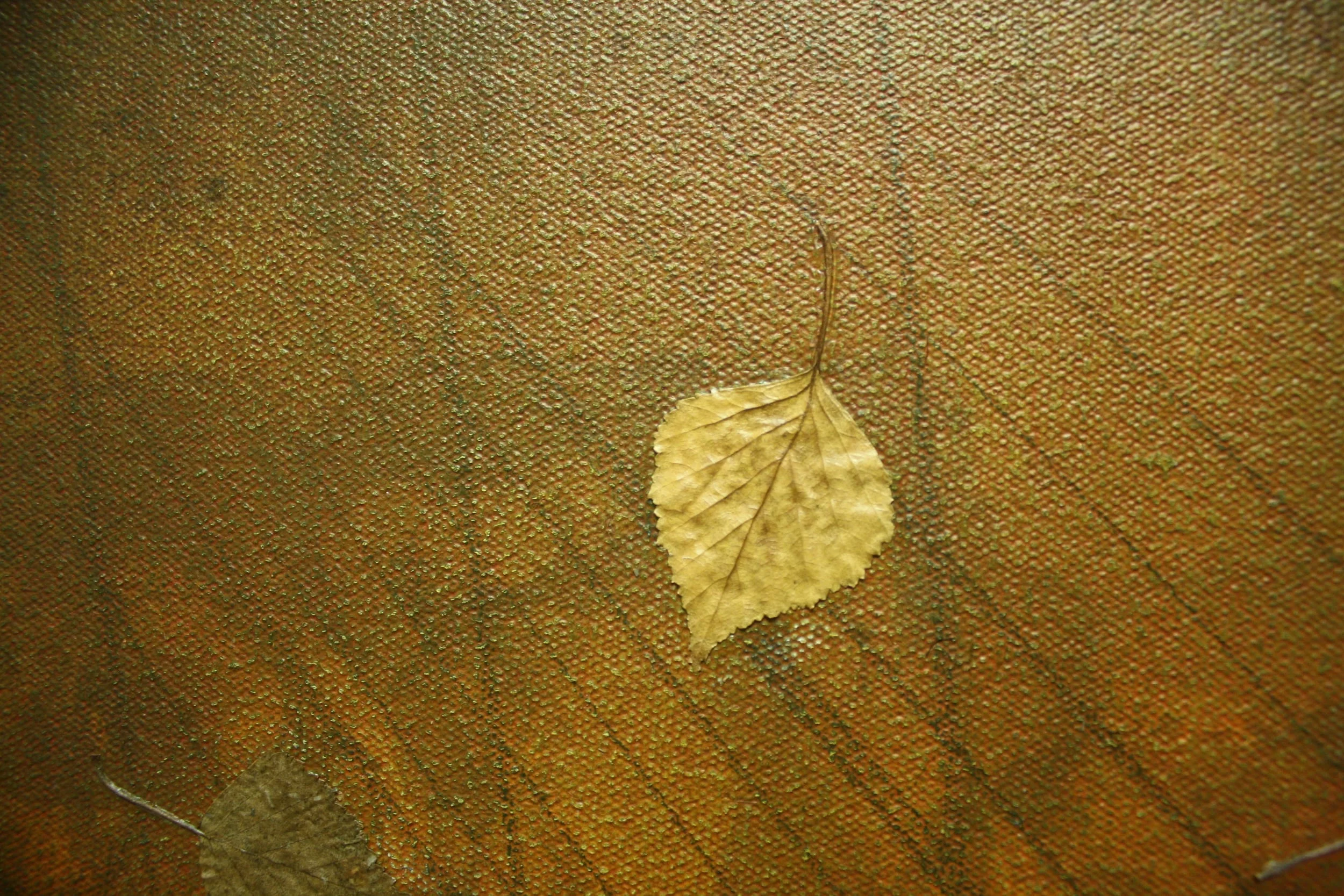 Divided Line 3 detail 3.JPG