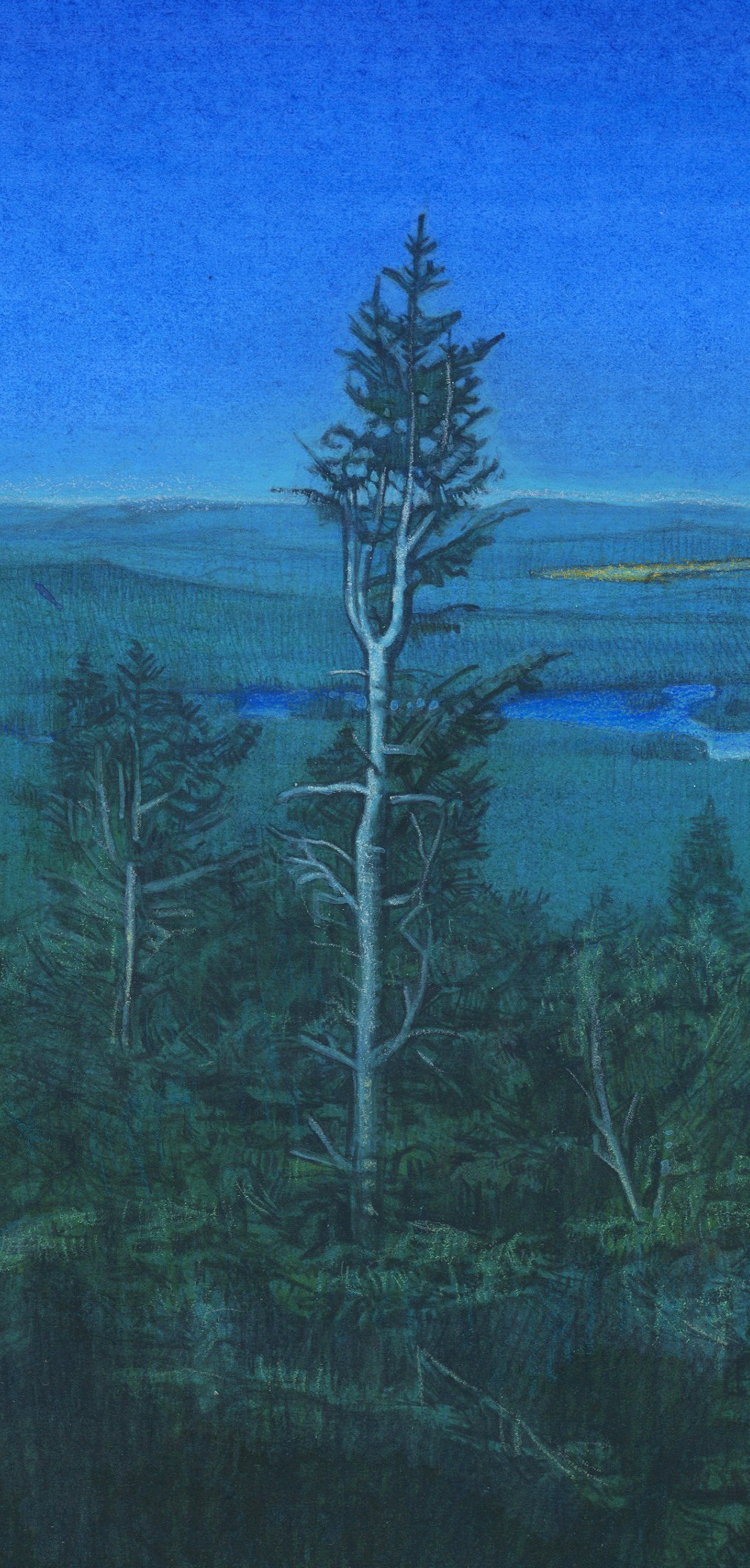 yuri leonov on the crest detail.jpeg