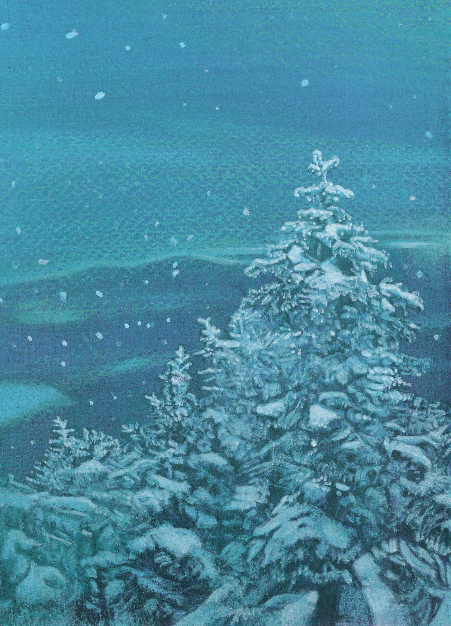 on the crest winter.jpeg