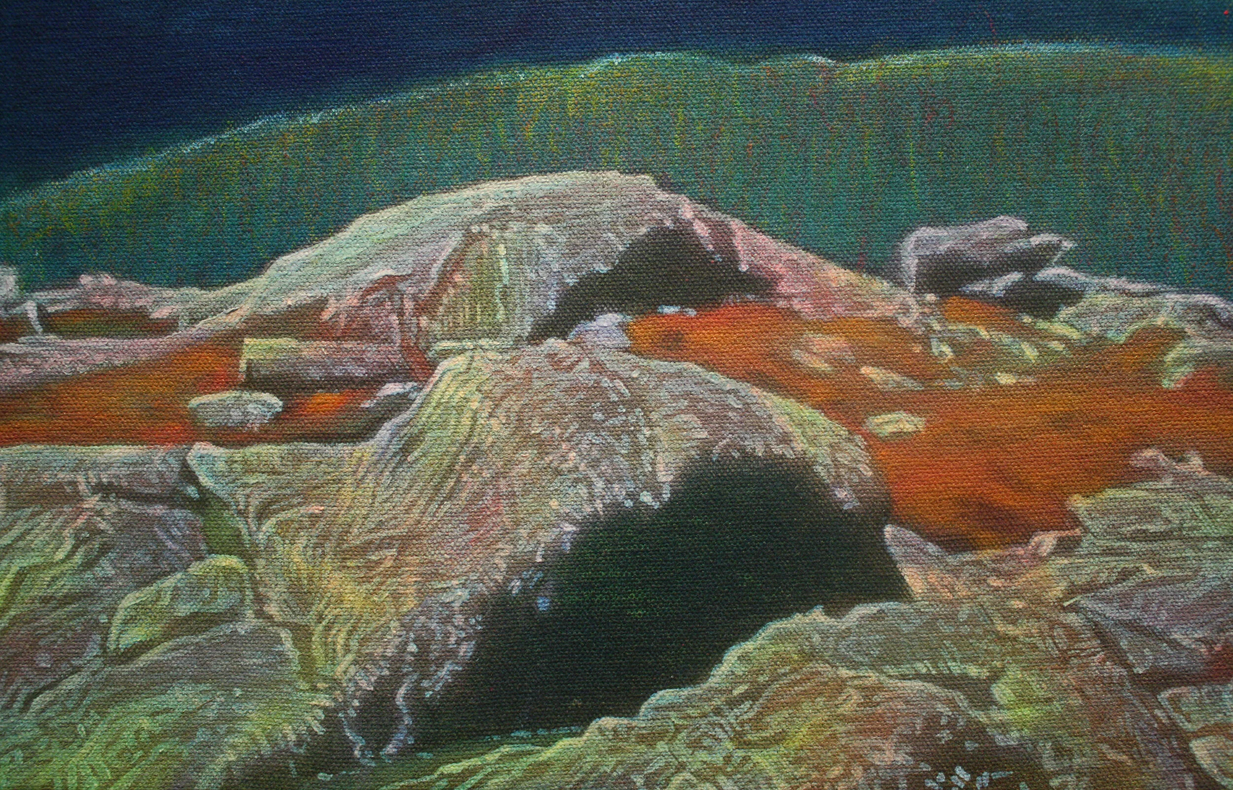 the crest detail 5.JPG