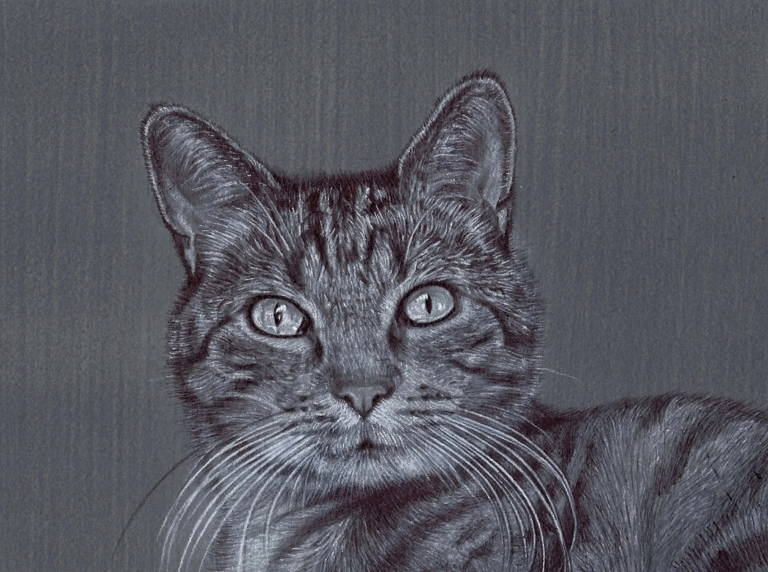 portrait duffy.jpg