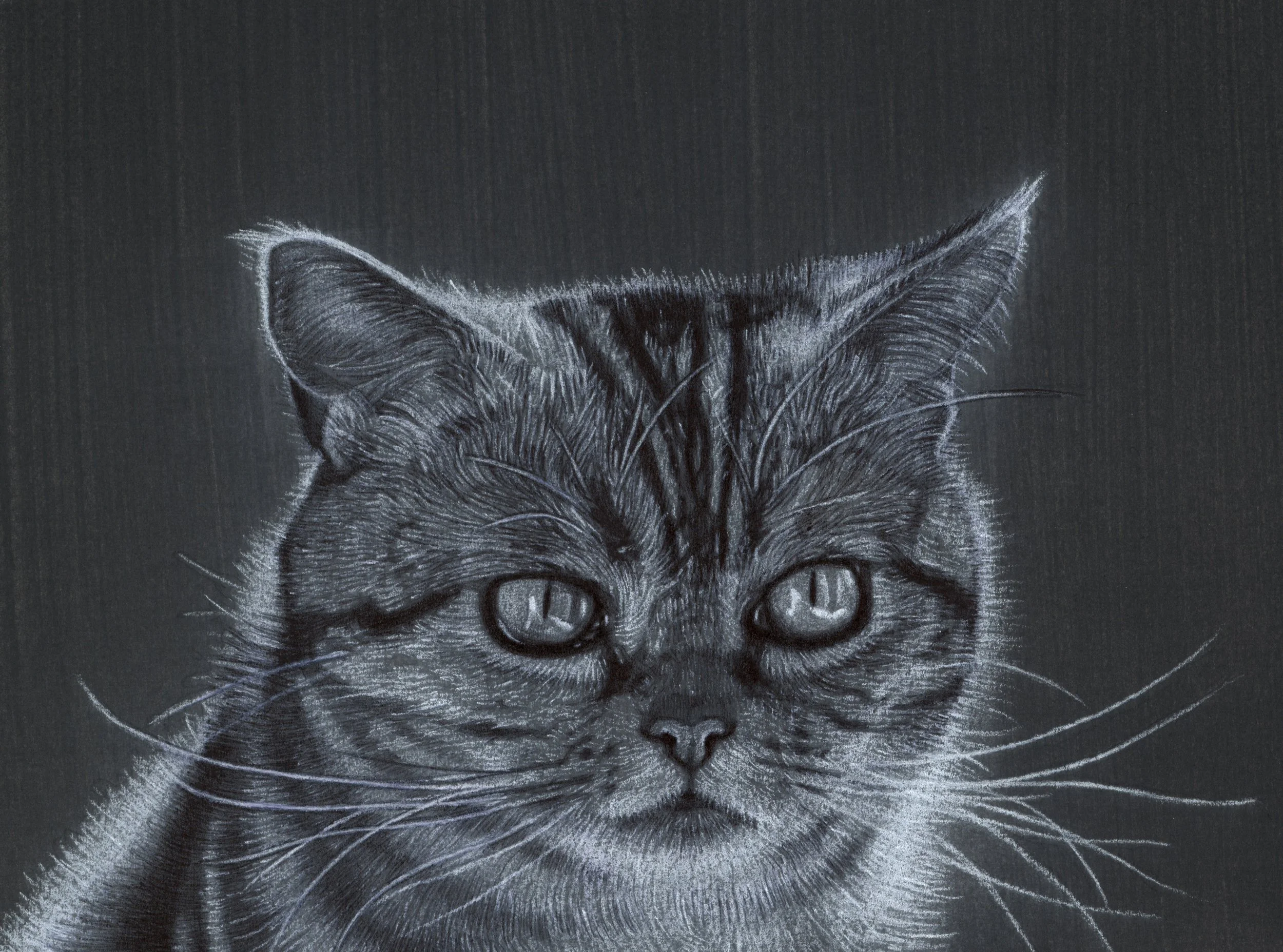 portrait markiz.jpeg