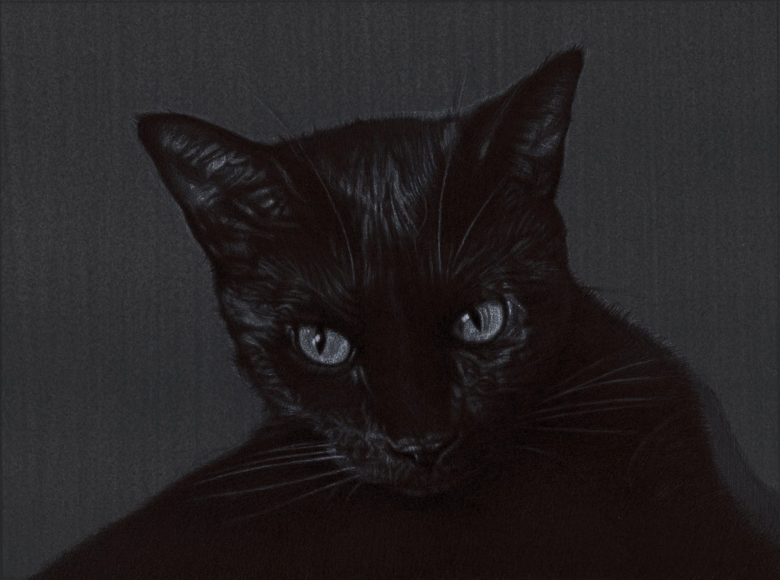 portrait darshwood small.jpg